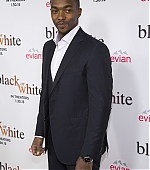 2015PublicA-00094.jpg