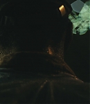 Shelter-0085.jpg